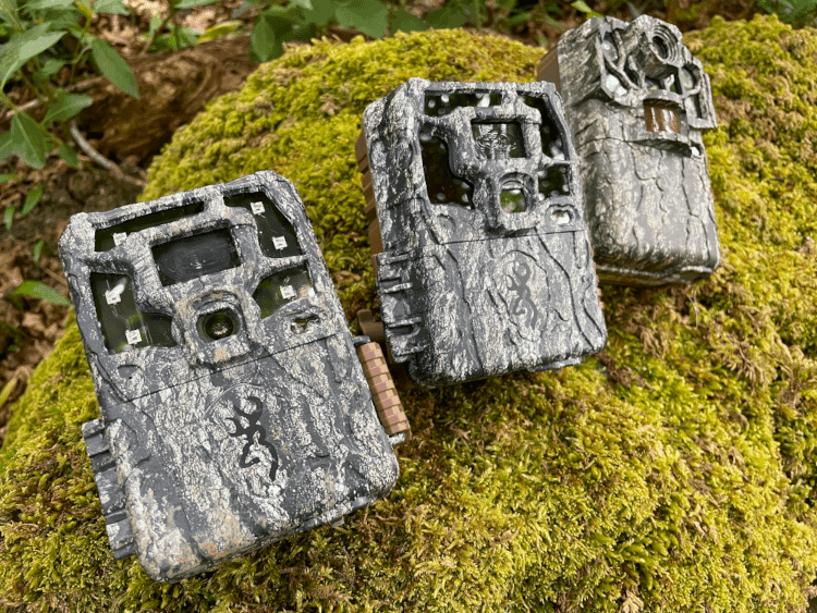 The Best Trail Cameras for Wildlife Research (2024)