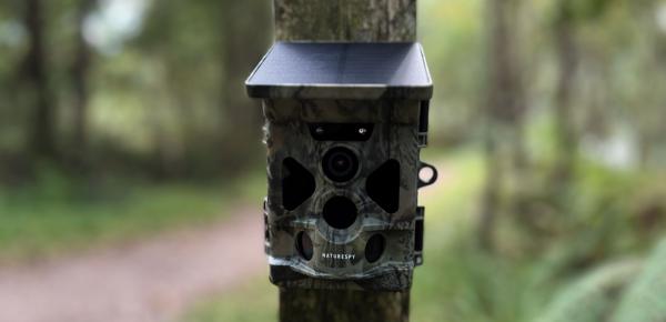 Wireless, WiFi and 4G wildlife cameras