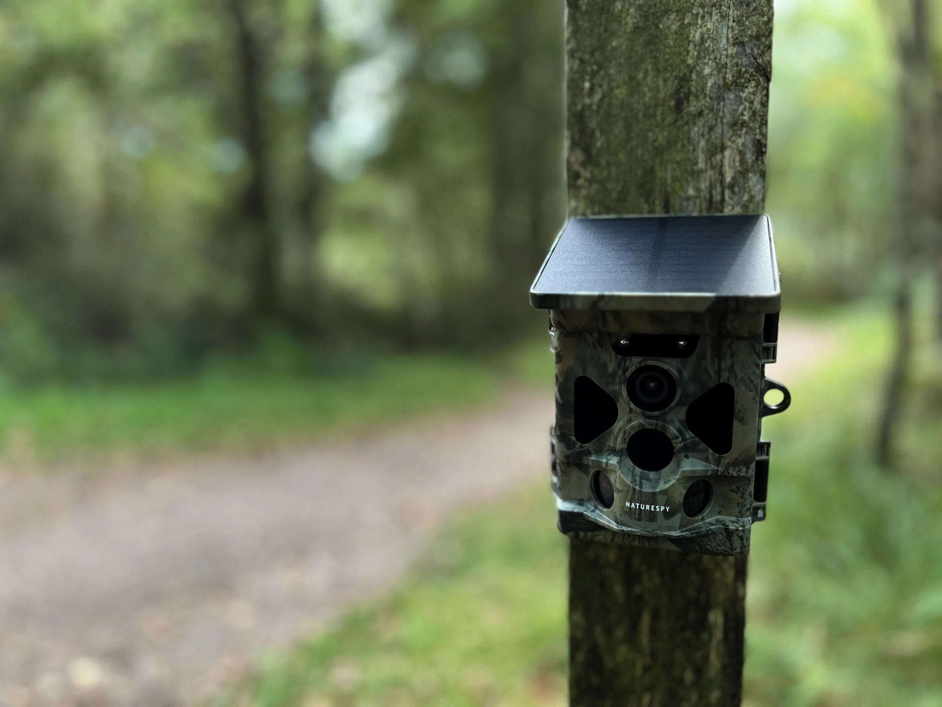 NatureSpy Helarctos Solar WiFi wildlife camera